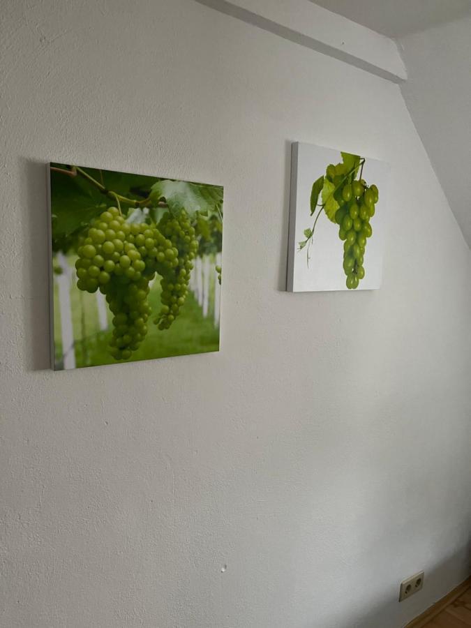 Haus Mika Villa Cochem Ngoại thất bức ảnh